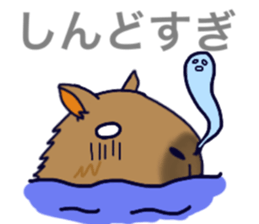 Capybara in Kansai dialect sticker #5385944