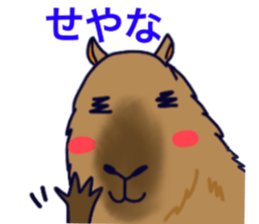 Capybara in Kansai dialect sticker #5385945