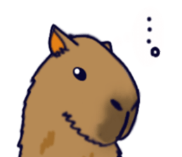 Capybara in Kansai dialect sticker #5385948