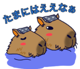 Capybara in Kansai dialect sticker #5385949