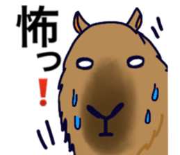 Capybara in Kansai dialect sticker #5385955