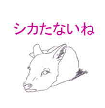 Dew glisten in deer eyes sticker #5387158