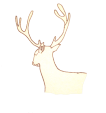 Dew glisten in deer eyes sticker #5387170