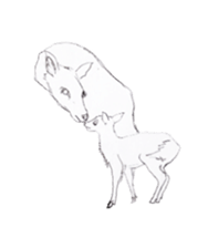 Dew glisten in deer eyes sticker #5387172