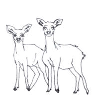 Dew glisten in deer eyes sticker #5387174