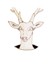 Dew glisten in deer eyes sticker #5387177