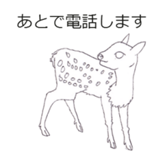 Dew glisten in deer eyes sticker #5387182