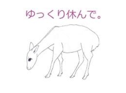 Dew glisten in deer eyes sticker #5387188