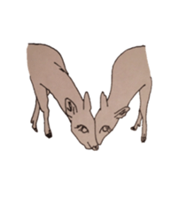 Dew glisten in deer eyes sticker #5387194