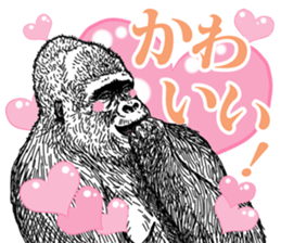 Gorilla gorilla gorilla 3 sticker #5387204