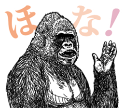 Gorilla gorilla gorilla 3 sticker #5387207