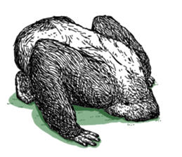 Gorilla gorilla gorilla 3 sticker #5387211