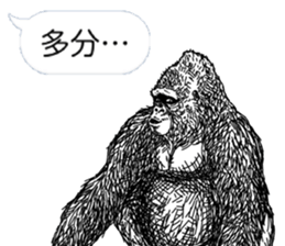 Gorilla gorilla gorilla 3 sticker #5387214