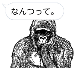 Gorilla gorilla gorilla 3 sticker #5387215