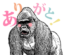 Gorilla gorilla gorilla 3 sticker #5387217