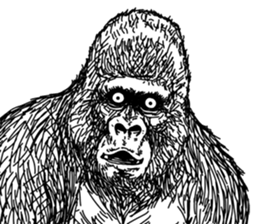 Gorilla gorilla gorilla 3 sticker #5387222