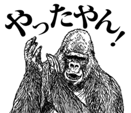 Gorilla gorilla gorilla 3 sticker #5387224