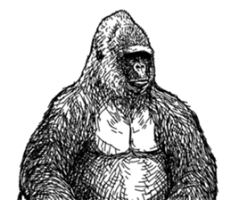 Gorilla gorilla gorilla 3 sticker #5387225