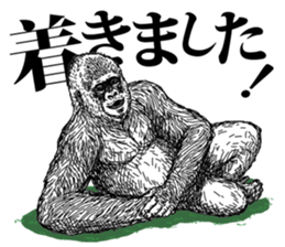 Gorilla gorilla gorilla 3 sticker #5387228