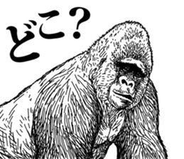 Gorilla gorilla gorilla 3 sticker #5387229