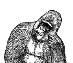 Gorilla gorilla gorilla 3 sticker #5387231