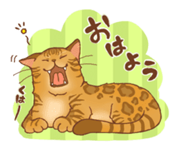bengal cat sticker #5387716