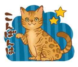 bengal cat sticker #5387718