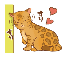 bengal cat sticker #5387723