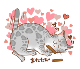 bengal cat sticker #5387724