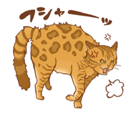bengal cat sticker #5387726