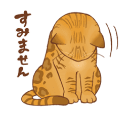 bengal cat sticker #5387730