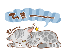 bengal cat sticker #5387731