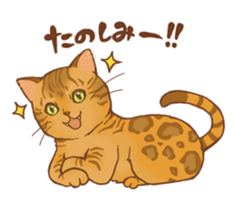 bengal cat sticker #5387734
