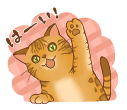 bengal cat sticker #5387736