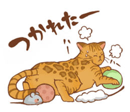 bengal cat sticker #5387737
