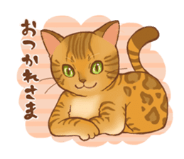 bengal cat sticker #5387738