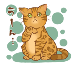 bengal cat sticker #5387742