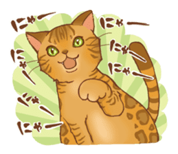 bengal cat sticker #5387747