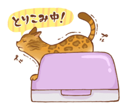 bengal cat sticker #5387750