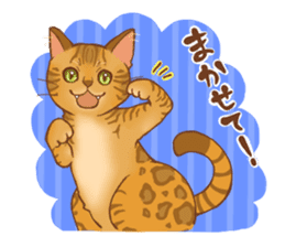 bengal cat sticker #5387753