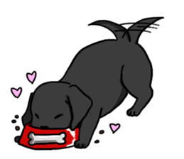 Labrador Retriever puppies sticker #5392205