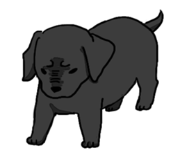 Labrador Retriever puppies sticker #5392212