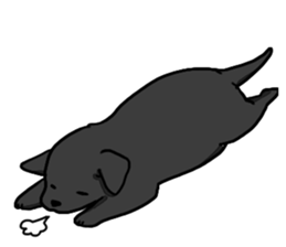 Labrador Retriever puppies sticker #5392214