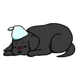 Labrador Retriever puppies sticker #5392223