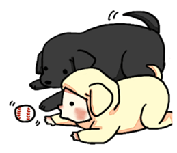 Labrador Retriever puppies sticker #5392228