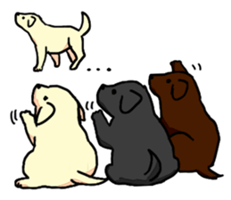 Labrador Retriever puppies sticker #5392234