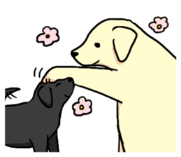 Labrador Retriever puppies sticker #5392235