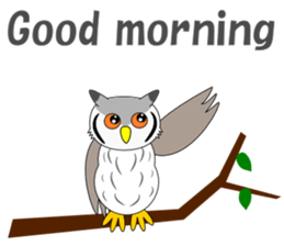 Conversation with Owl English sticker #5393117