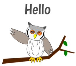 Conversation with Owl English sticker #5393118
