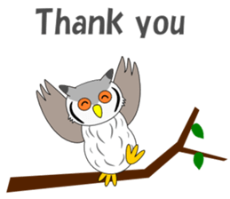 Conversation with Owl English sticker #5393120